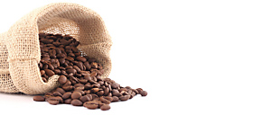 coffee beans graphic